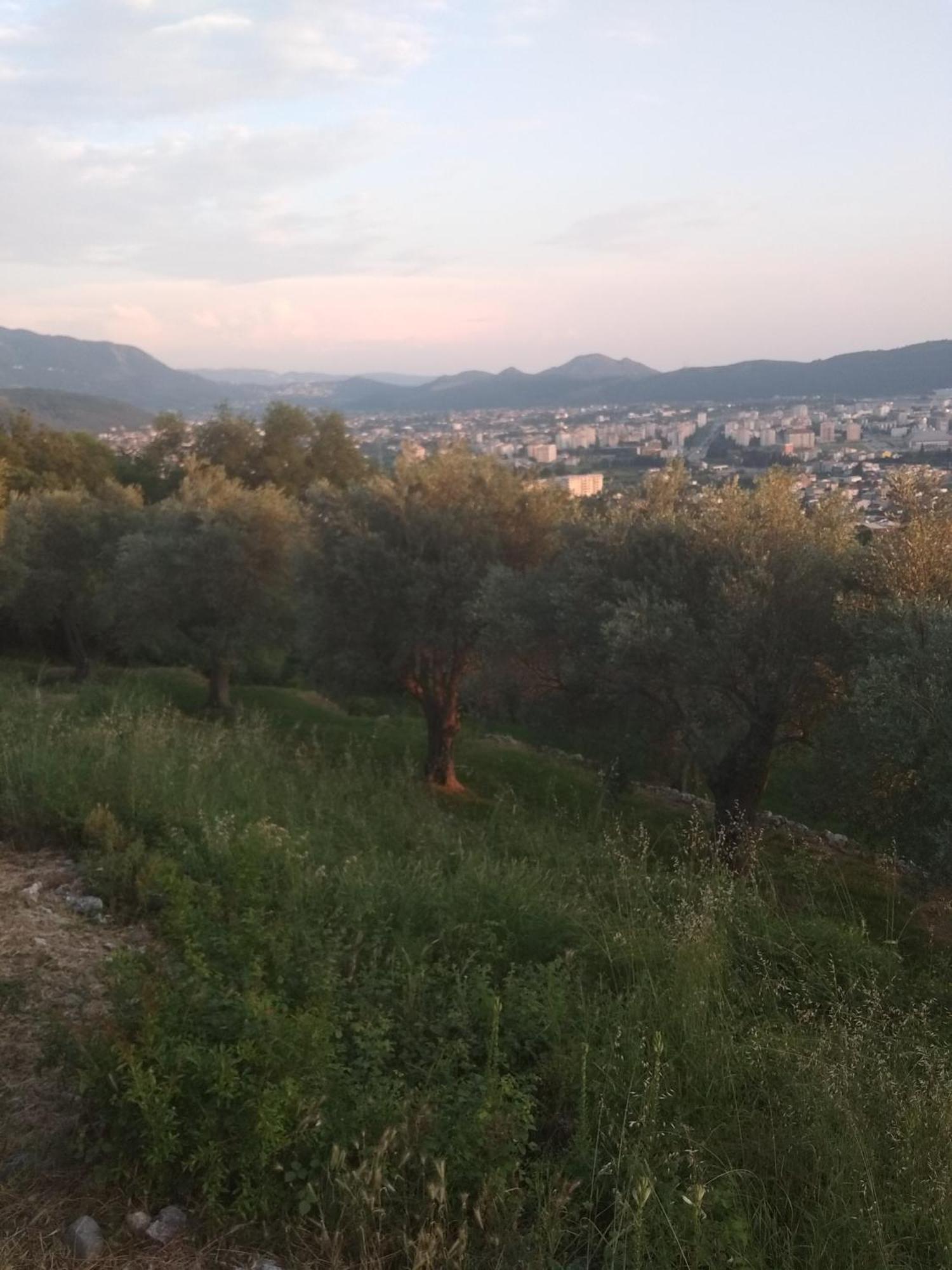 באר Apartman "Marko" מראה חיצוני תמונה