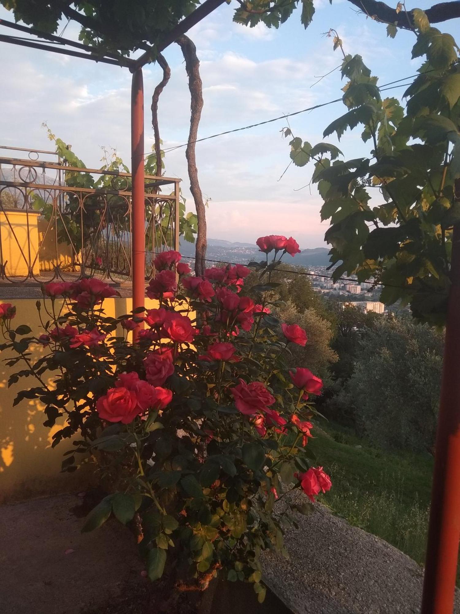 באר Apartman "Marko" מראה חיצוני תמונה